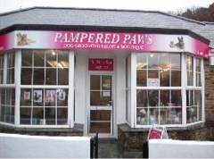 Pampered Paws Redruth Cornwall Logo 