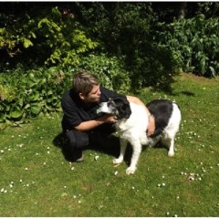 Dog walks in the woods Gorsley Herefordshire Logo 