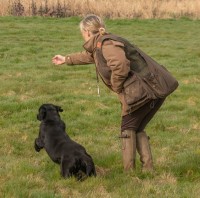 RTB Gundog Training & Events Morcott Rutland Logo 