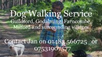 Joybringer Dog Walking Services Guildford Surrey Logo 