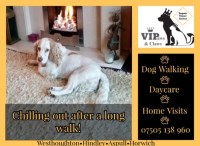 ViPaws & Claws Westhougton Lancashire Logo 