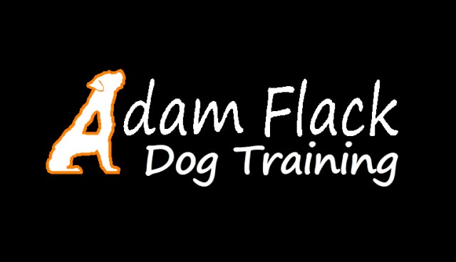 Adam Flack Dog Training