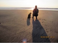 Walkswithdogs Bideford Devon Logo 