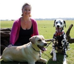 Sophie's Pet Care Hordle Hampshire Logo 