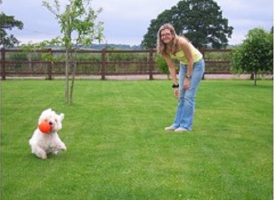 Dogs Retreat Home Boarding