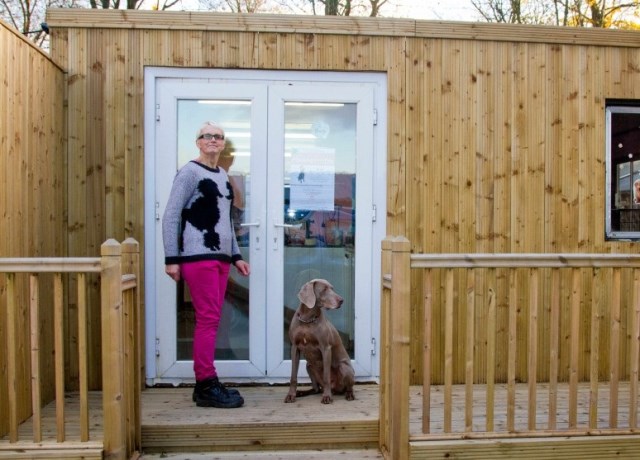 Dog And Cat Grooming