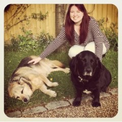 Companion Care For Tunbridge Wells Tunbridge Wells Kent Logo 