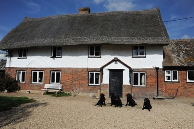 Meeting House Boarding Kennels