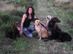 who's walking now Boston Lincolnshire Logo 