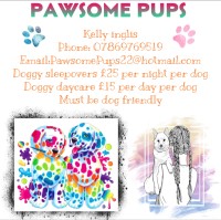 Pawsome Pups Stone Staffordshire Logo 