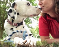 Nana Creche IP4 Ipswich Suffolk Logo 