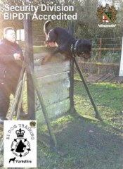 A1 Dog Training centre Leeds North Yorkshire Logo 