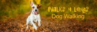 Walks 4 Legs Dog Walker  for Coningsby Horncastle Tattershall Mareham le Fen Lincolnshire Logo 