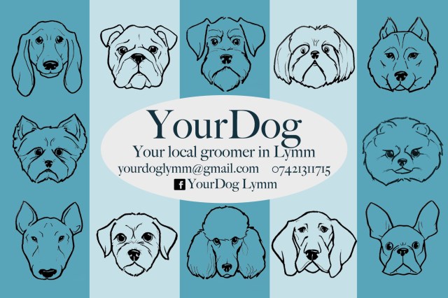 YourDog Lymm