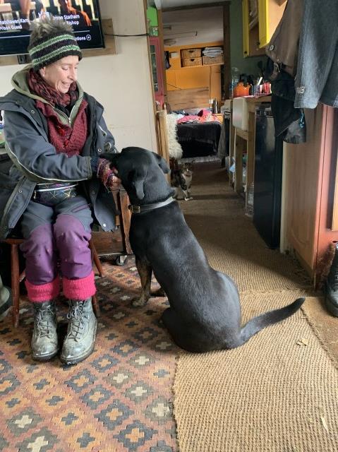 Sara Jones Pet Sitting