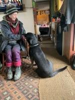 Sara Jones Pet Sitting Llandrindod Wells Powys Logo 