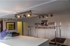 Kits Coty Pampered Pets Aylesford Kent Logo 
