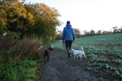 Lyonmill Pet Services Edinburgh Edinburgh Logo 