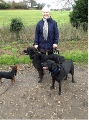 Paw Prints Pet Services North Fambridge Essex Logo 