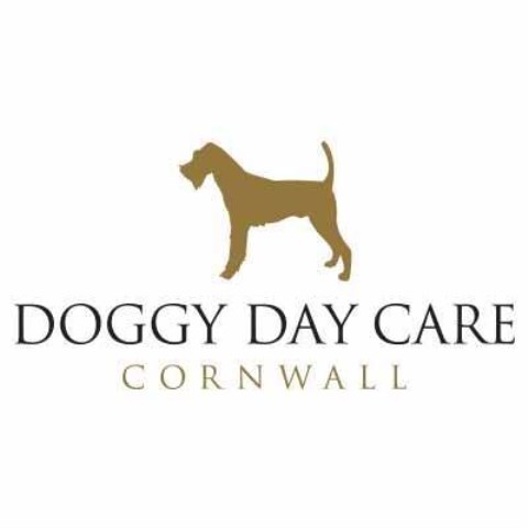 Doggy Day Care Cornwall