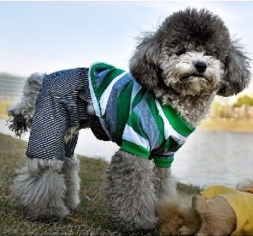 Dog & Puppy Clothing