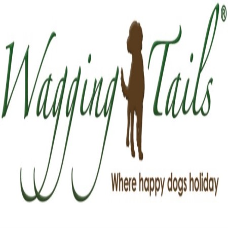 Wagging Tails Home Dog Boarding