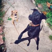 Take the Lead Romney Marsh New Romney Kent Logo 