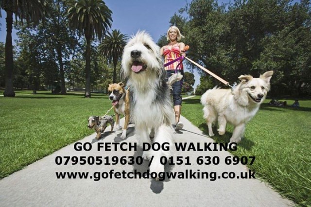 Go Fetch Dog Walking