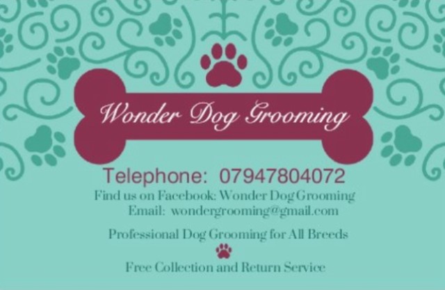 Wonder dog grooming
