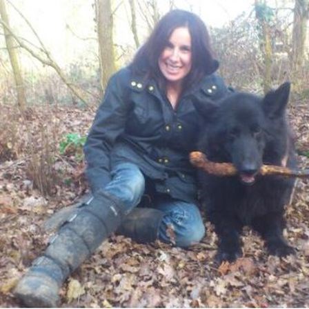 Calm Canines Wiltshire