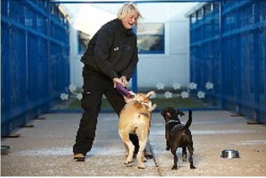 Mypetstop Pet Boarding And Care Centre