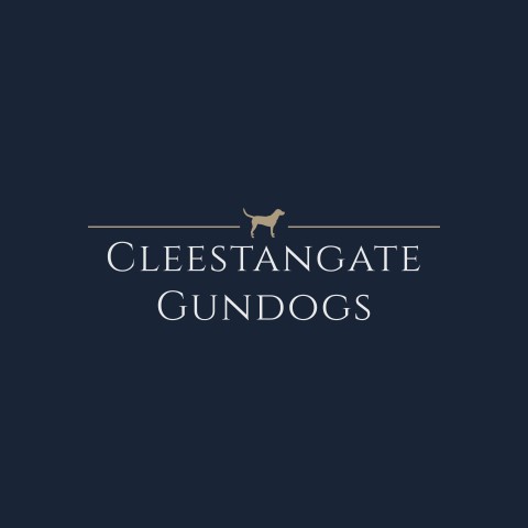 Cleestangate Gundogs