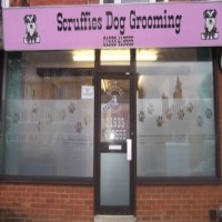Scruffies Dog Grooming Rushden Northamptonshire Logo 
