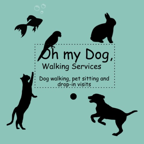 Oh my Dog, Walking Services