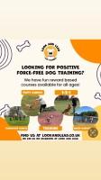Look and Lead Dog Training Wokingham Berkshire Logo 