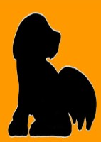 Happy Dogz Deal Kent Logo 