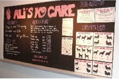 Ali's K9 Care Verwood Dorset Logo 