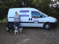 Canine Feline Royston Hertfordshire Logo 