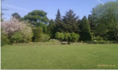 Dog Sitting Durham Tudhoe Durham Logo 