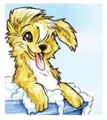 D'Tails Dog Grooming Chearsley Buckinghamshire Logo 