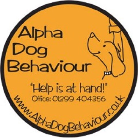 Alpha Dog Behaviour