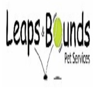 Leaps And Bounds Pets Huntingdon Cambridgeshire Logo 