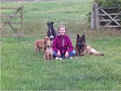 Pawprints Dog Walking And Pet Care Cleckheaton West Yorkshire Logo 