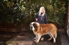 charnwoodpetwalking Loughborough Leicestershire Logo 