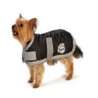 Tiaden Dog Training Horsham West Sussex Logo 