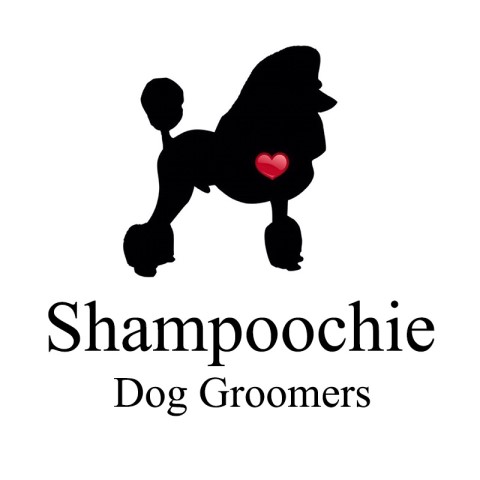 Shampoochie dog groomers