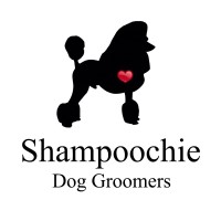 Shampoochie dog groomers Stockport Cheshire Logo 