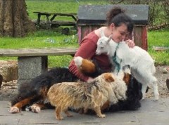 Dog Walker Dunbar East Lothian Logo 
