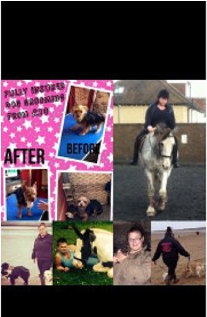 Top dog pet services