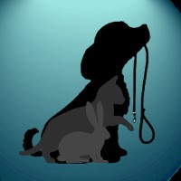 All Paws Animal Care Minster On Sea Kent Logo 